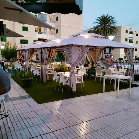 公寓 Olas Tropical 普拉亚戴尔雷安格莱斯